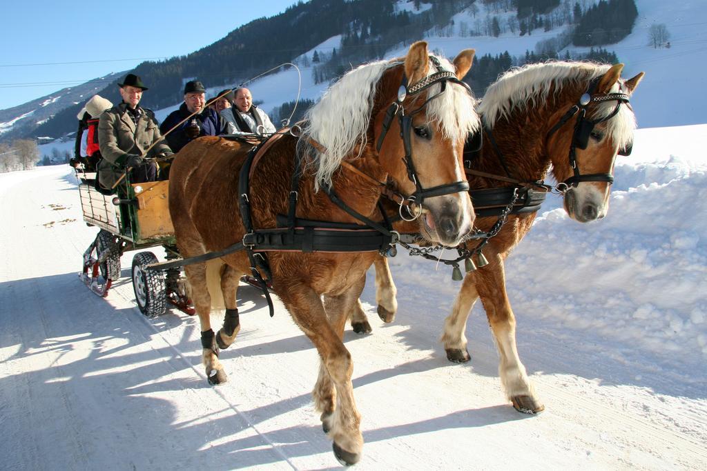 "Schoen-Urlauben" Grobming Exteriér fotografie
